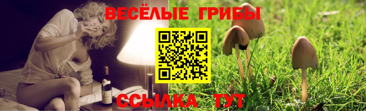 Галлюциногенные грибы мухоморы  Псилоцибиновые грибы мухоморы  Вход с VPN  Кингисепп 